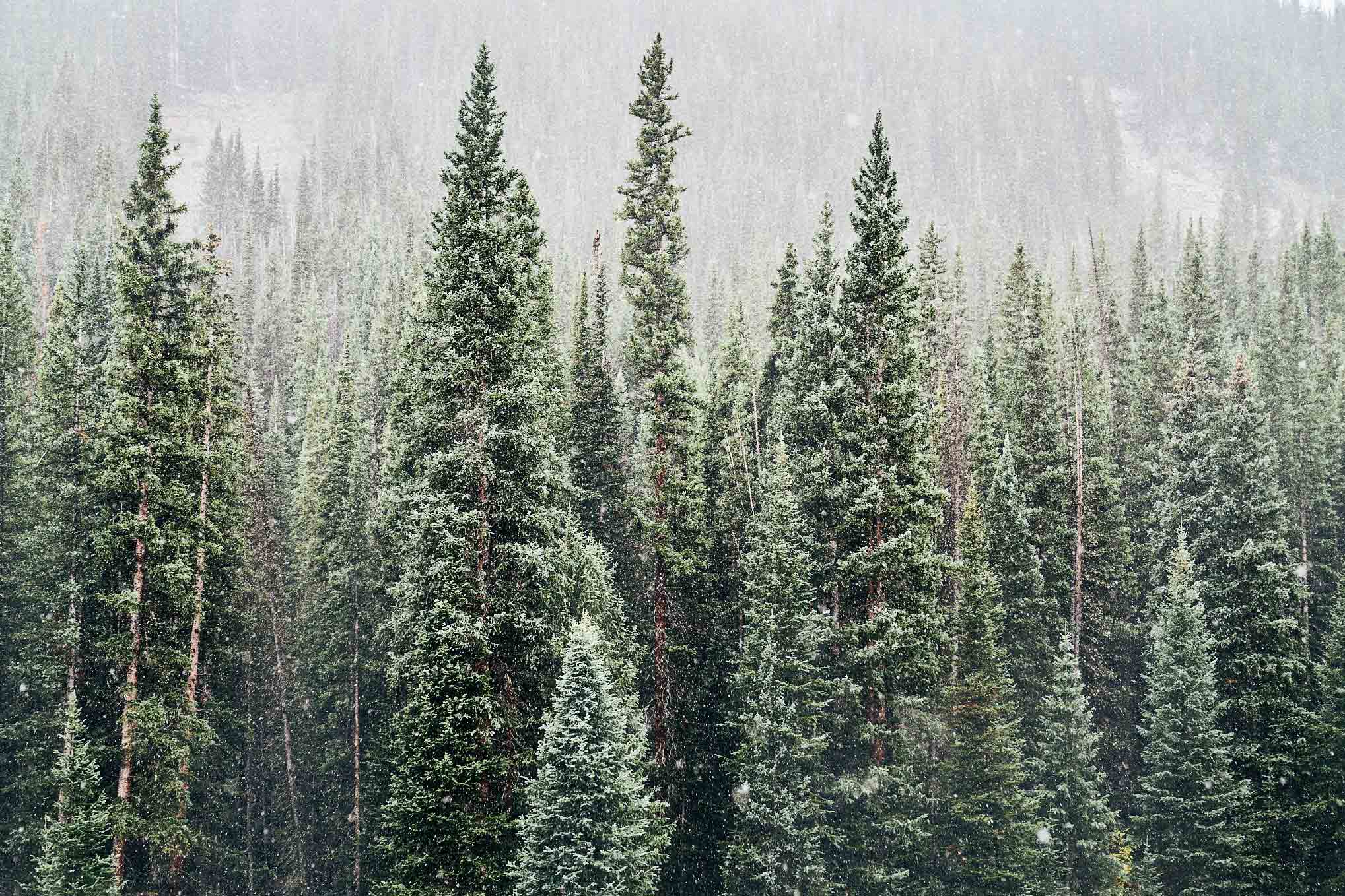 Colorado-2_0309