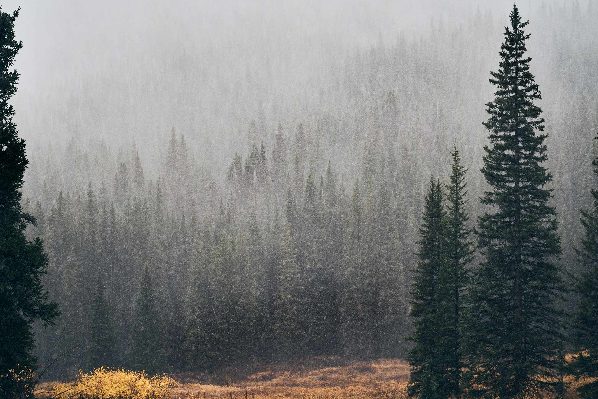 Colorado-2_0311