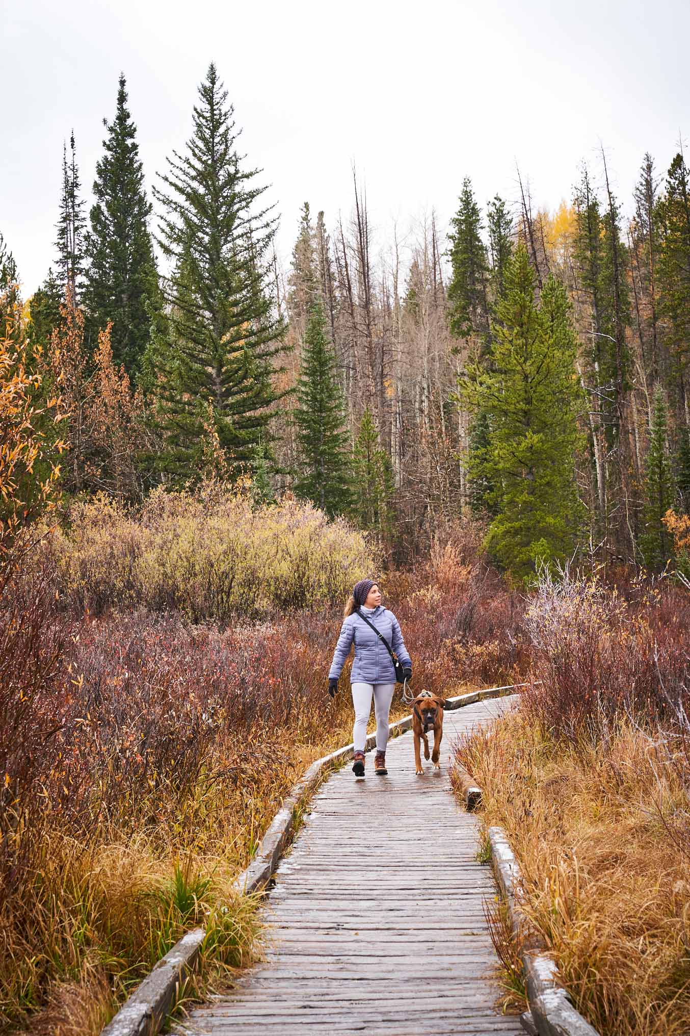 Colorado-2_0346