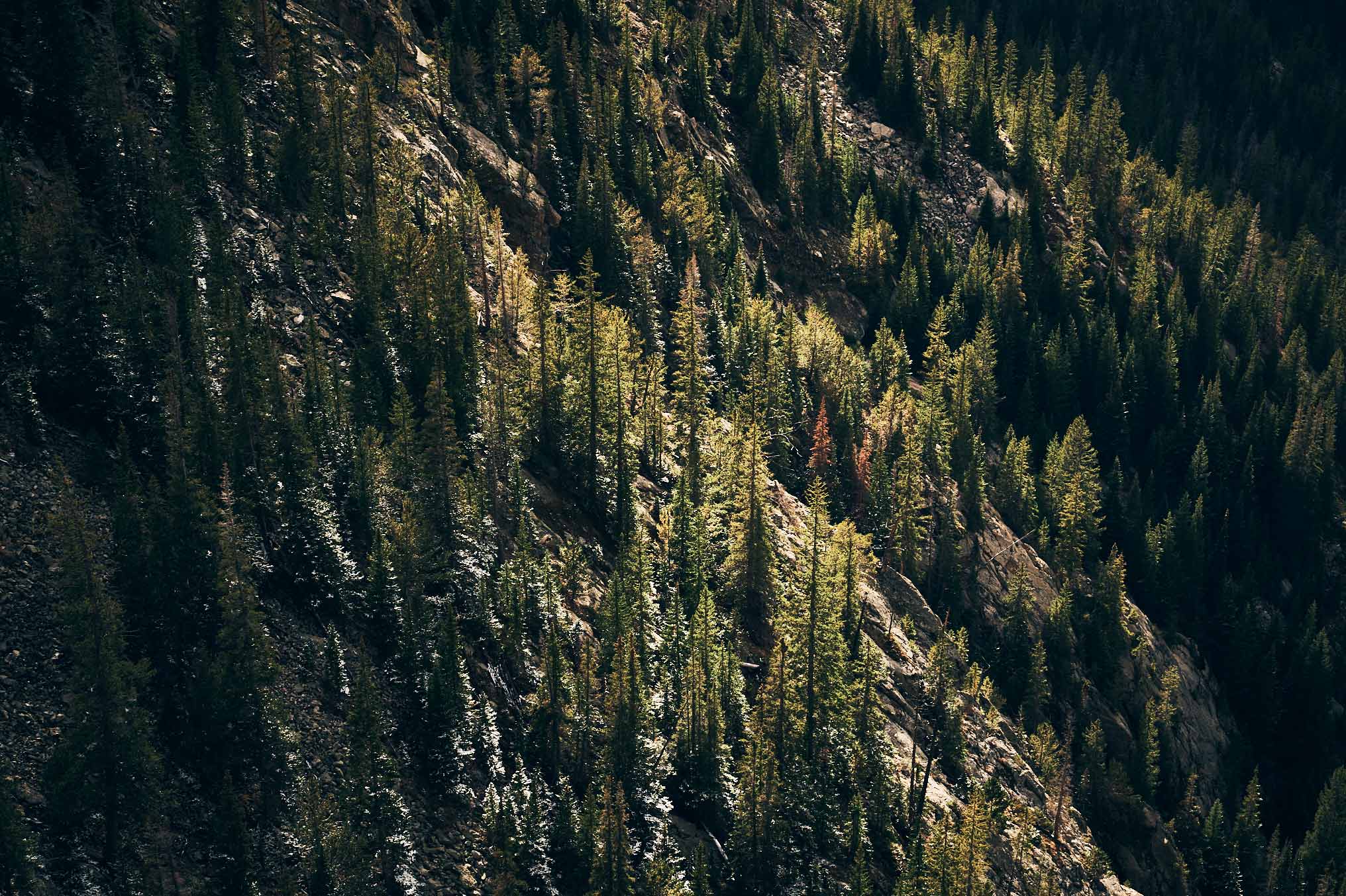 Colorado-2_0495