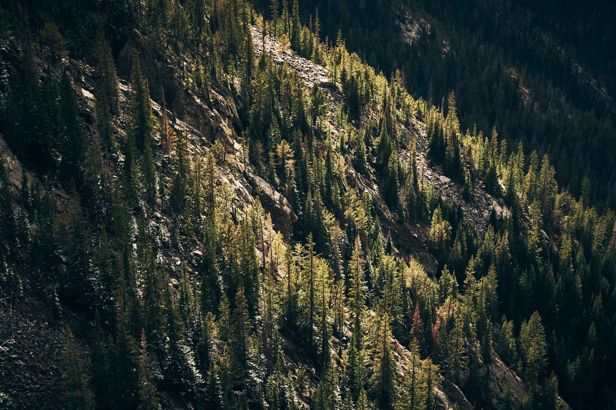 Colorado-2_0496
