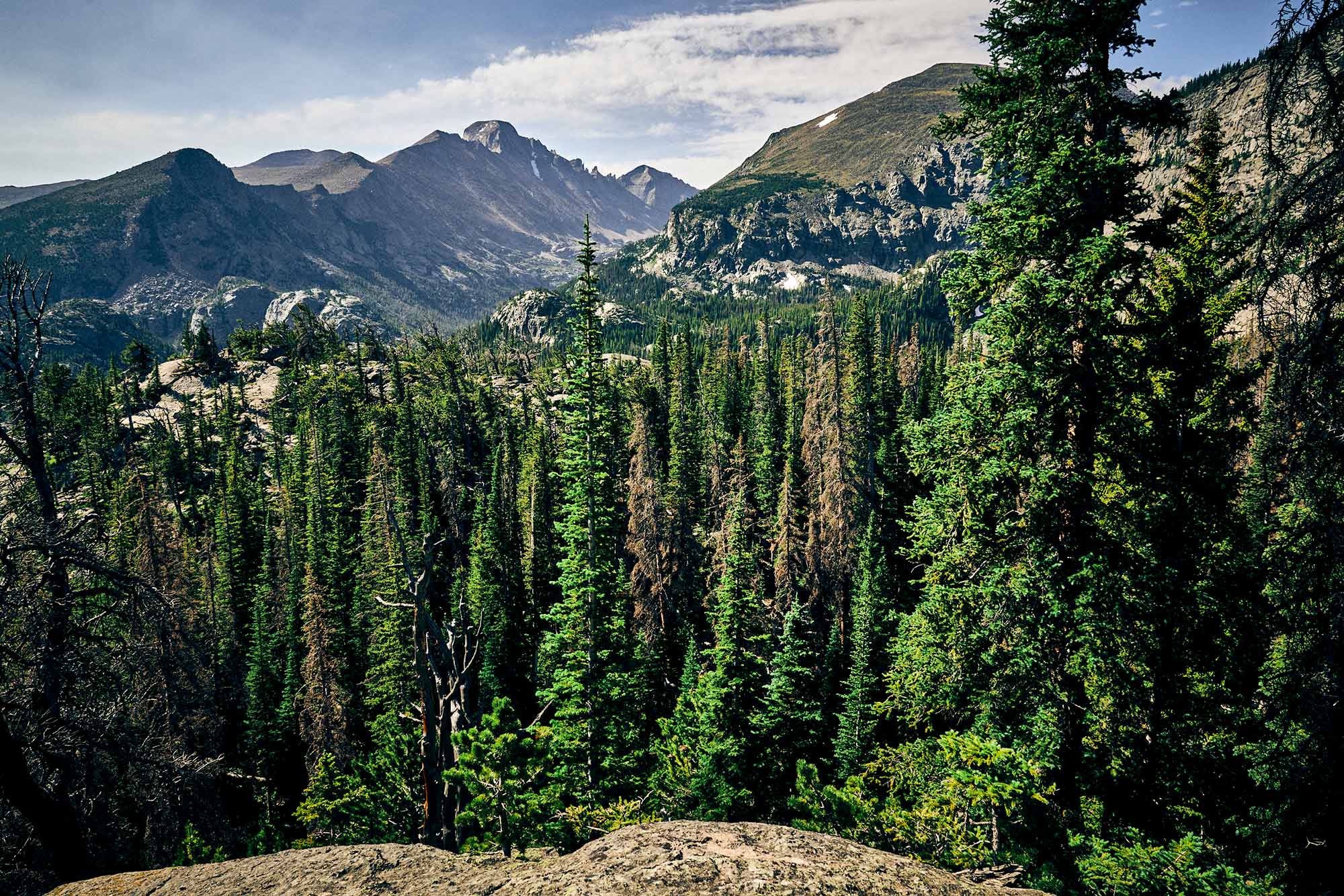 Colorado_2513