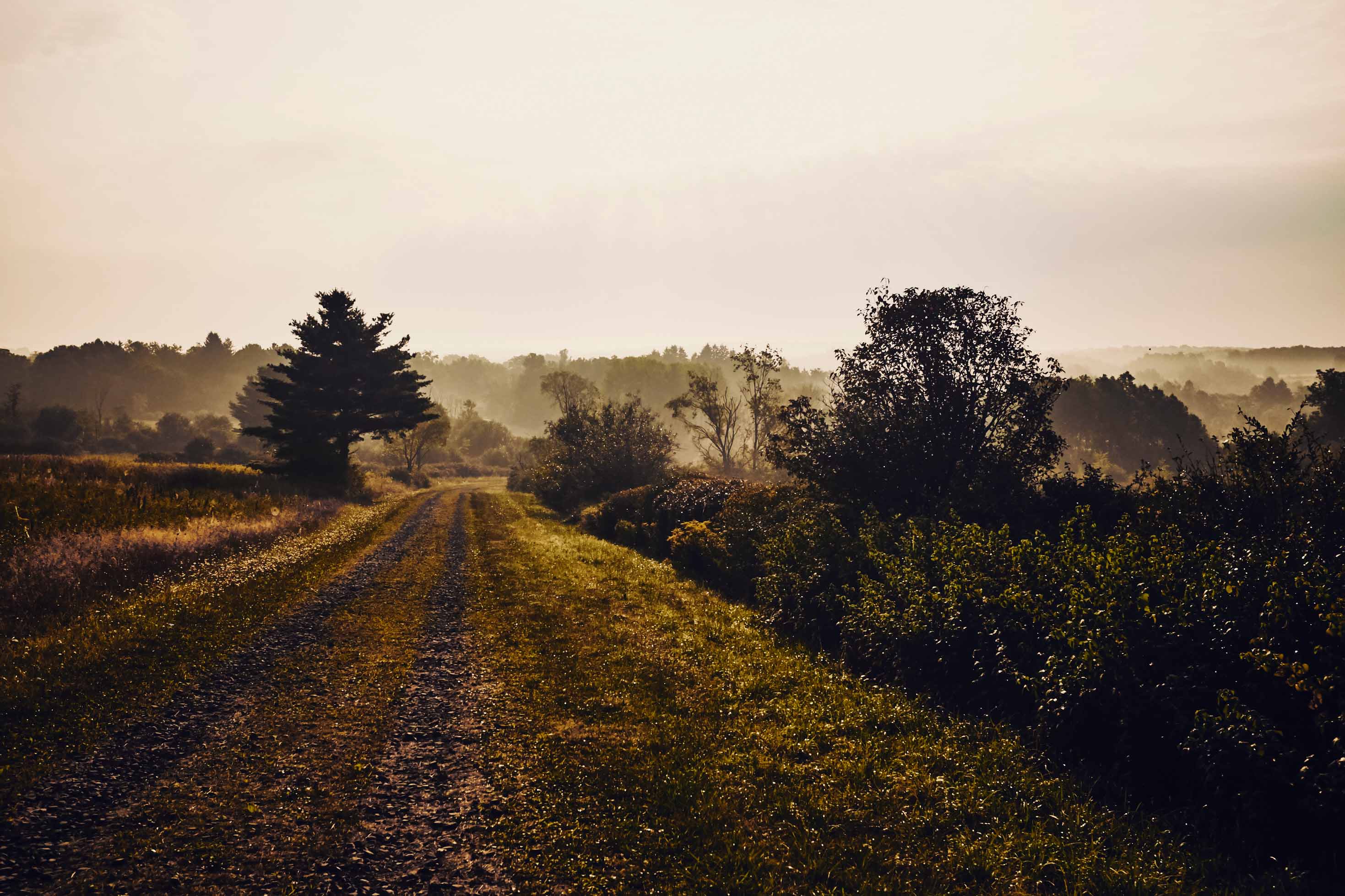 New-York_Country_011