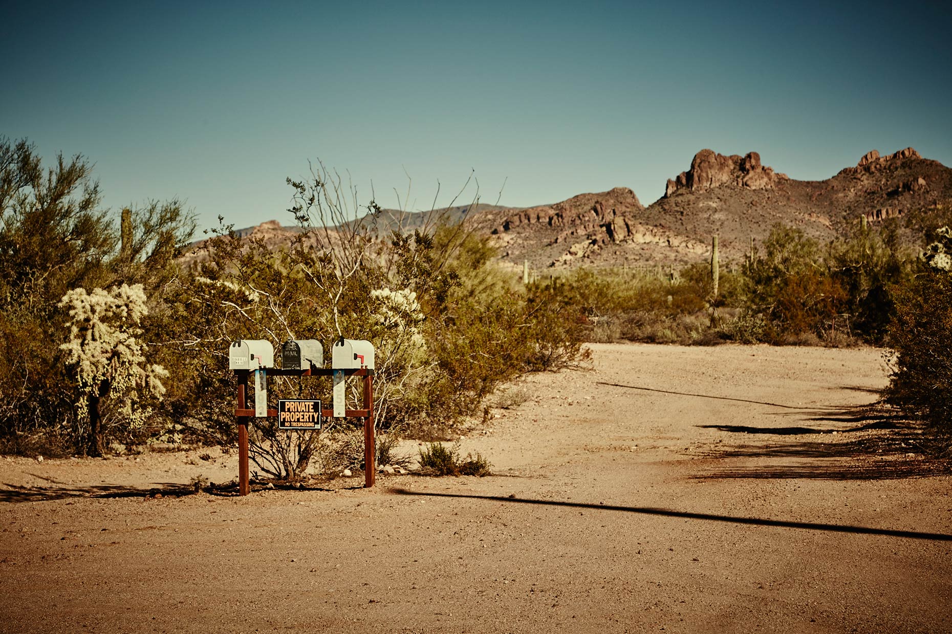 Old-Bull-Lee_Landscape_AZ-1_047