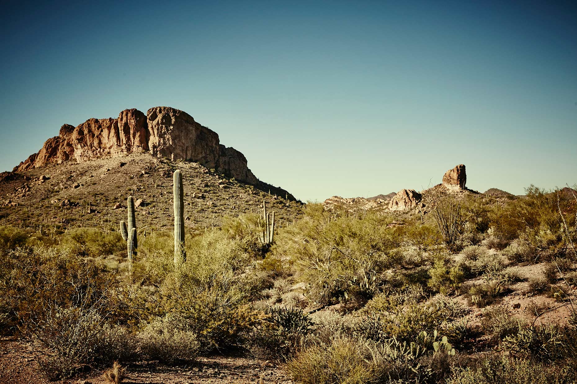 Old-Bull-Lee_Landscape_AZ-1_059