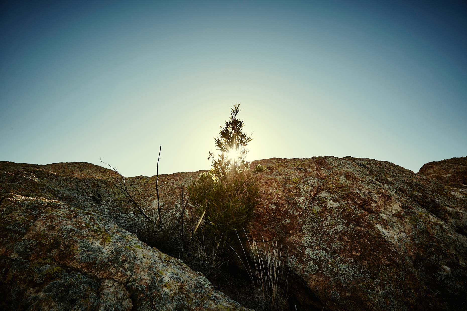 Old-Bull-Lee_Landscape_AZ-1_085