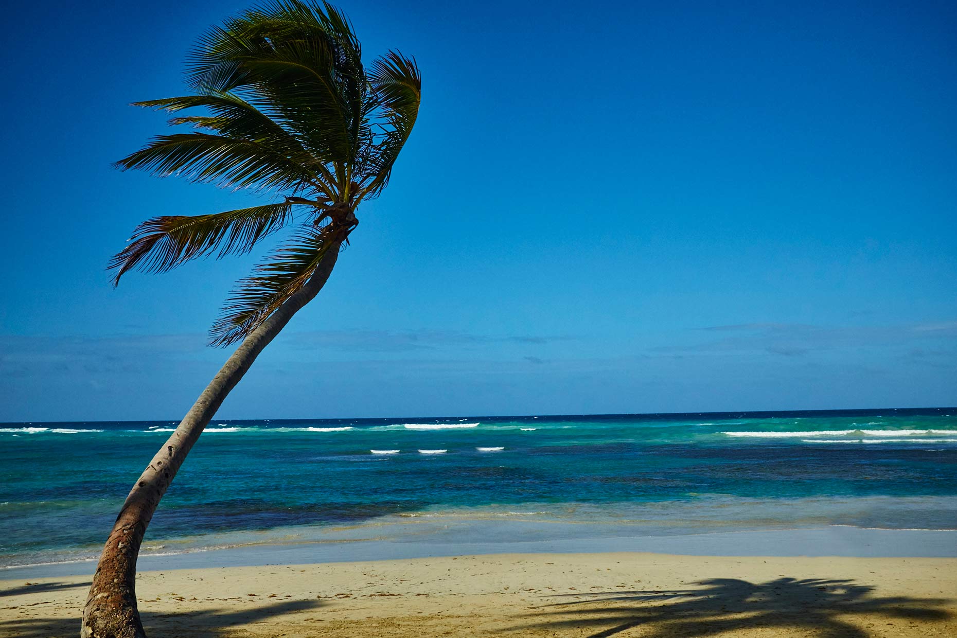 Punta-Cana_2016_005
