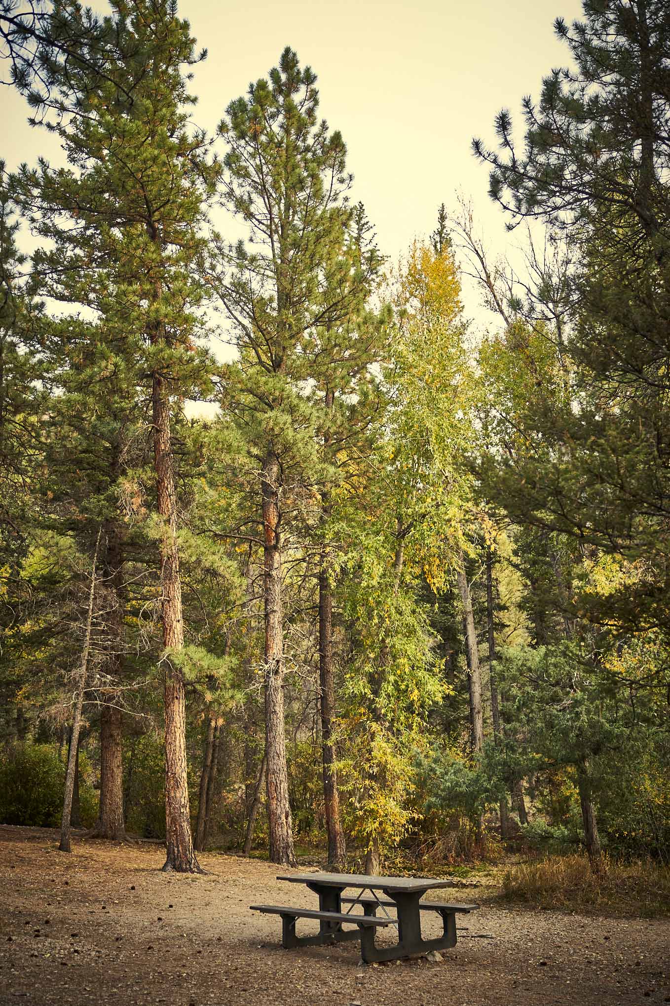 Red-River_177