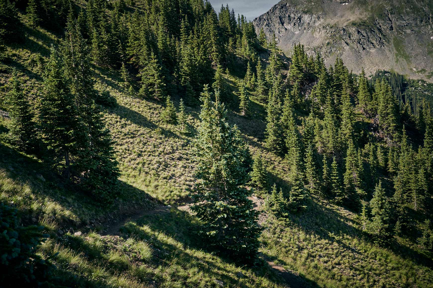 TAOS_147