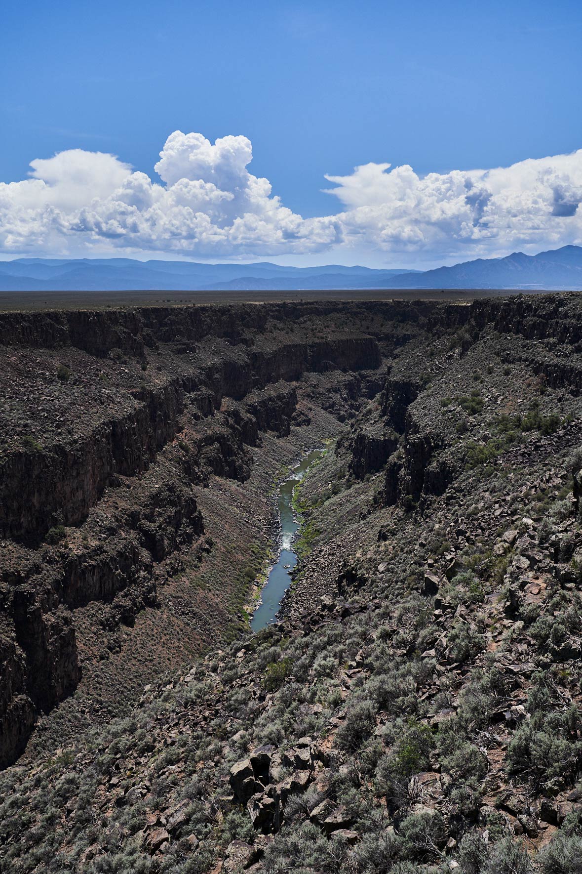 TAOS_590