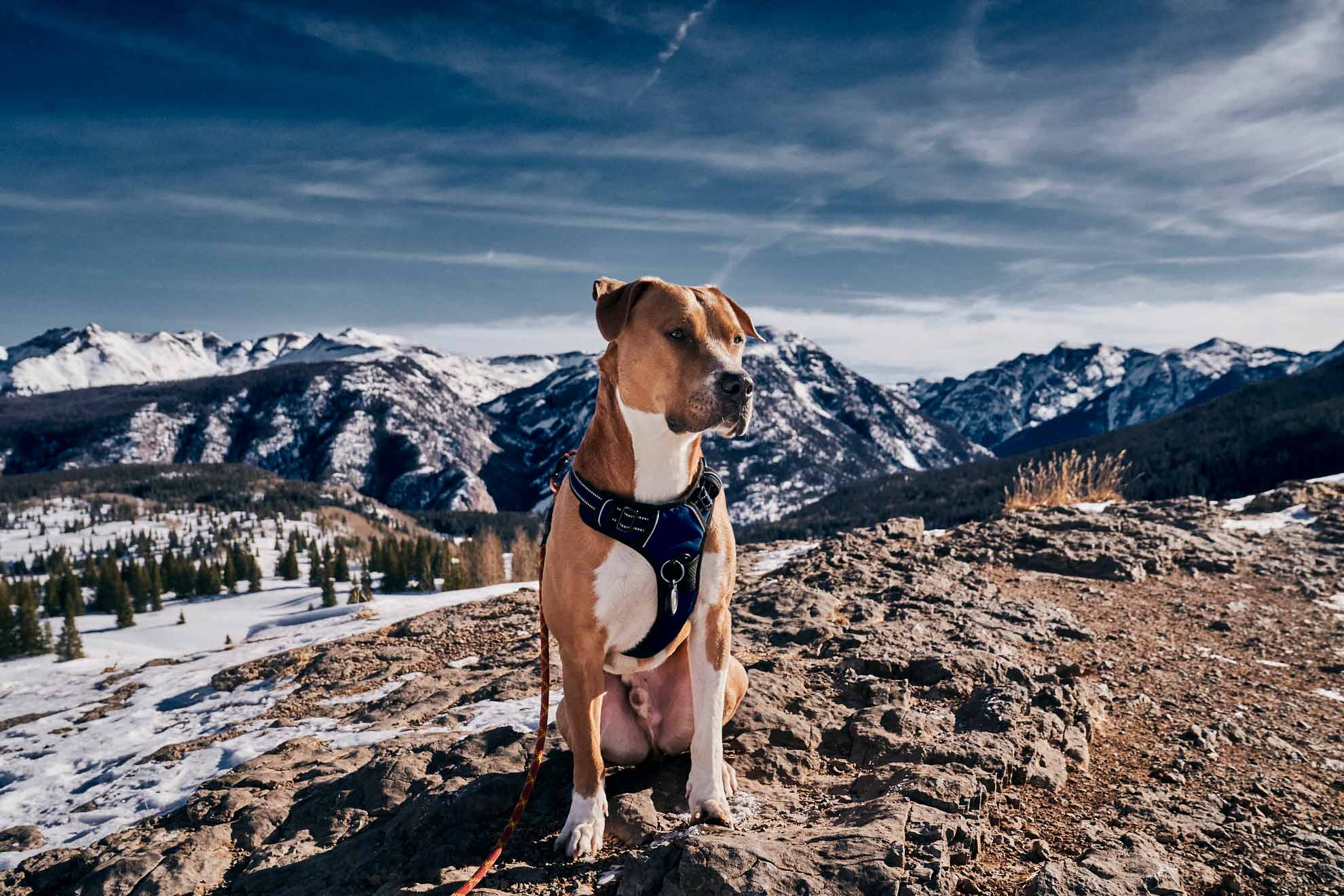 Travel_Durango_Handsome_433