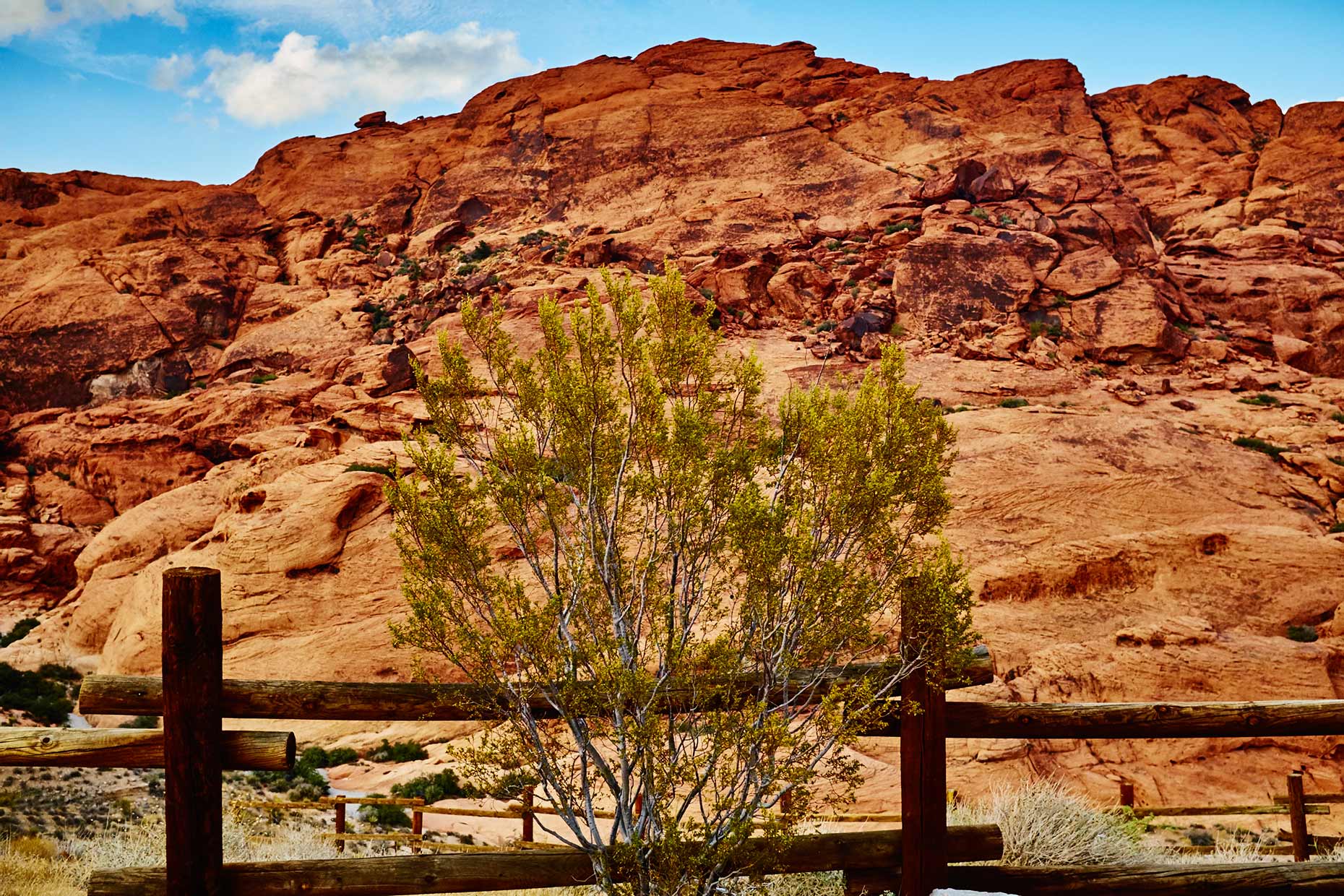 Travel_Red-Canyon_LV_033
