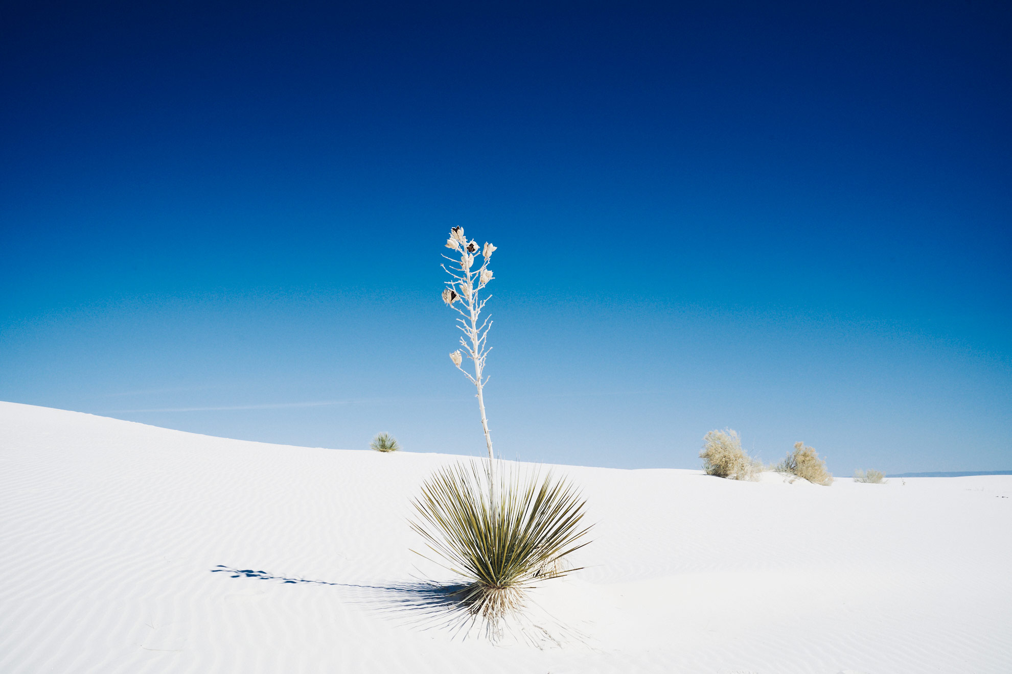 White-Sands_NM_723