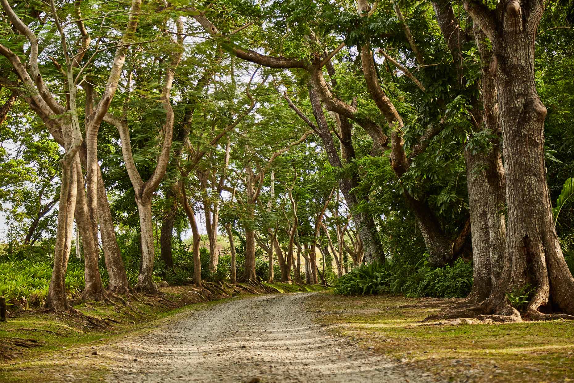 World-Venture_FIji_Day-6_Garden_082